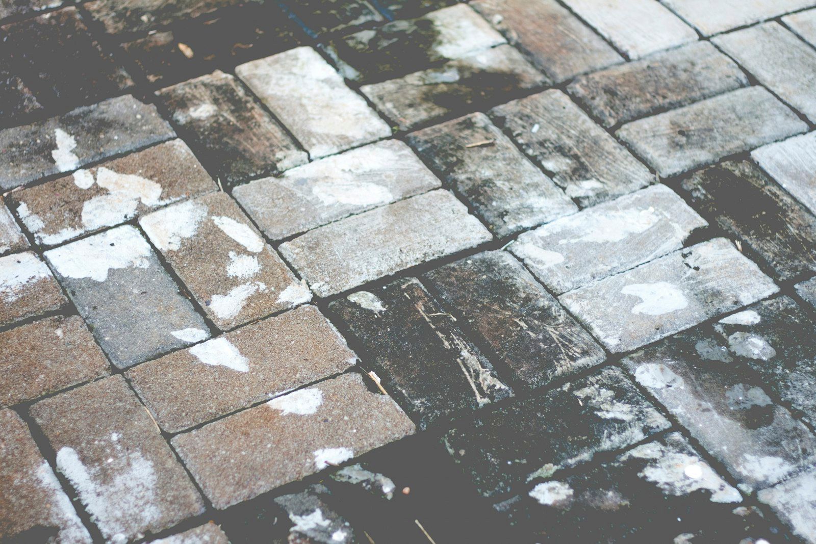 Pavers partly pressure washed, showing clean and dirty stone side by side