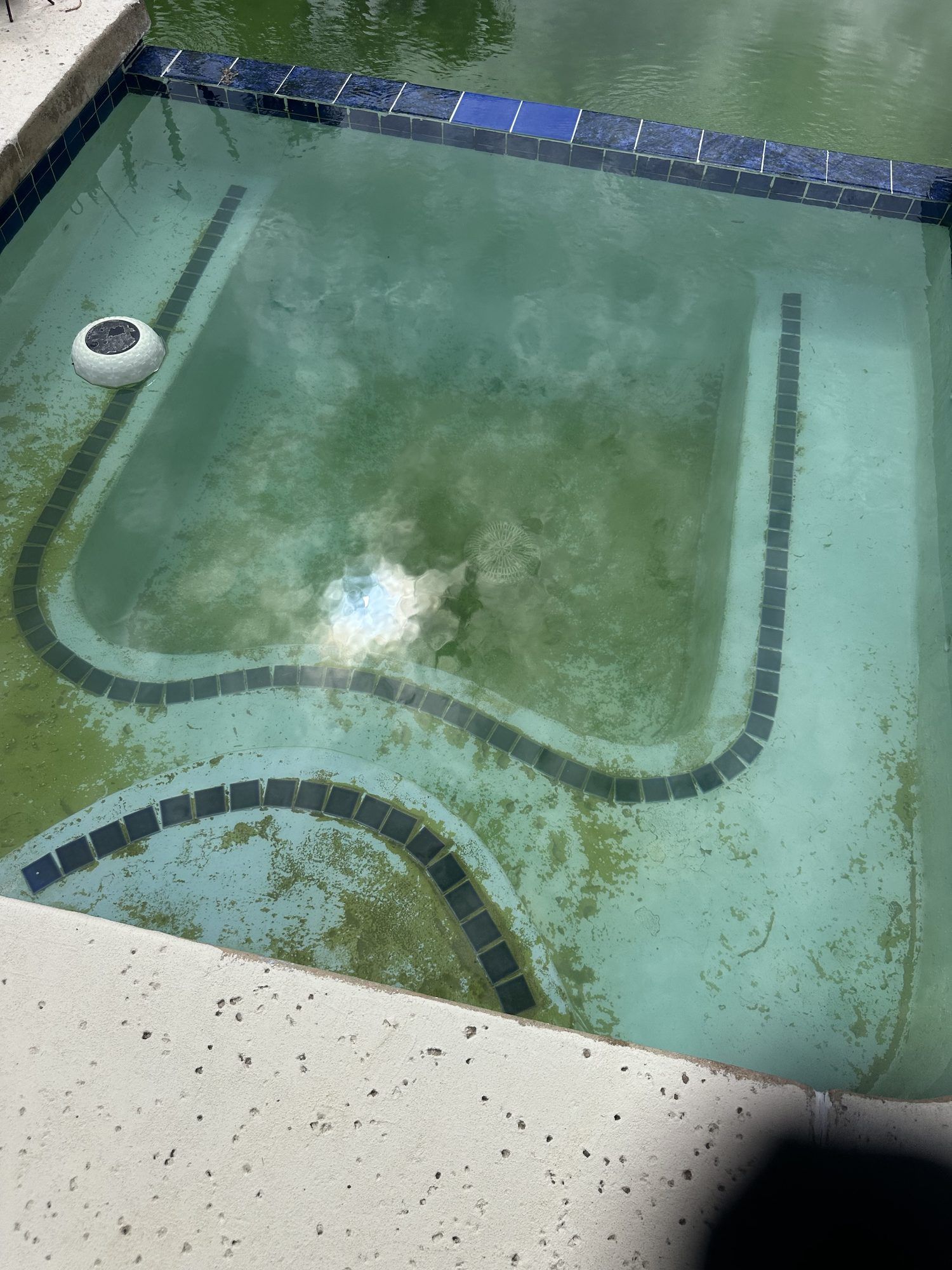 Spa with green algae on the walls and floor before cleanup